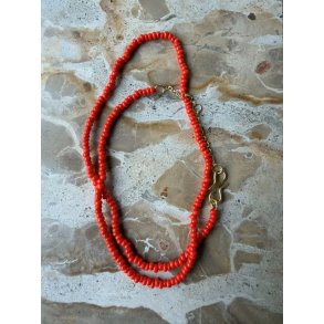 Annavii Kala halsk�de, coral