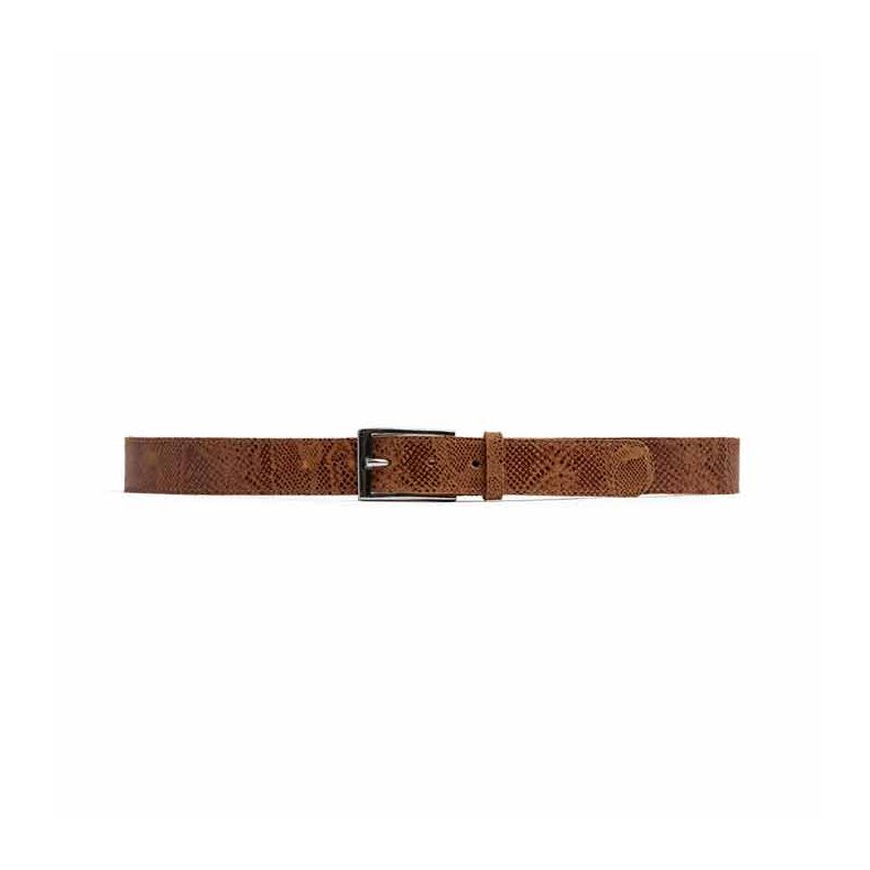 Depeche belt, camel snake