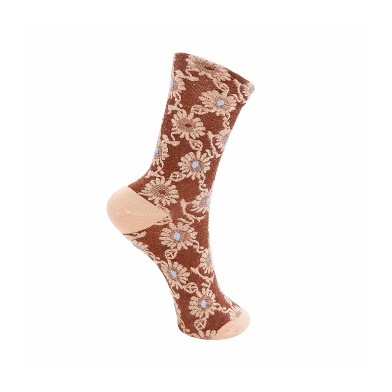 Bclani sock Black Colour, coffee