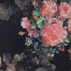 Eloise top Karmamia, daisy noir tea rose